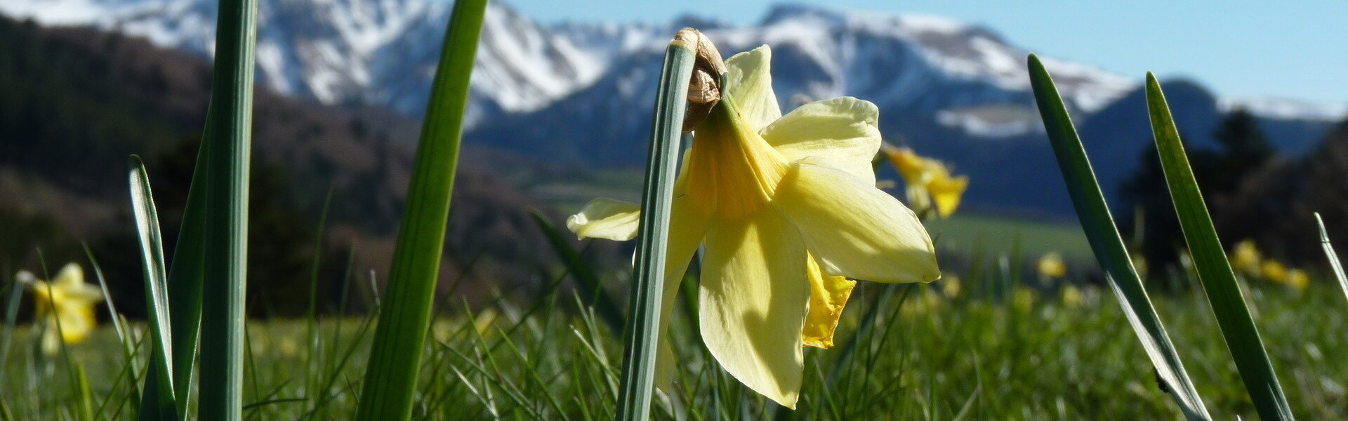 Deux piliers : agriculture et tourisme